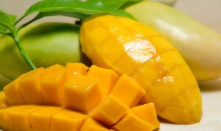 芒果为什么不能多吃（芒果为什么不能多吃一点）