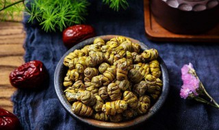 注意石斛不适宜人群（注意石斛不适宜人群有哪些）