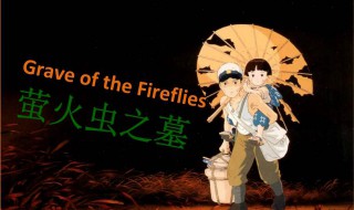 萤火虫之墓观后感（萤火虫之墓观后感300字）