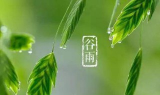 最经典的十首谷雨诗（最经典的十首谷雨诗歌）