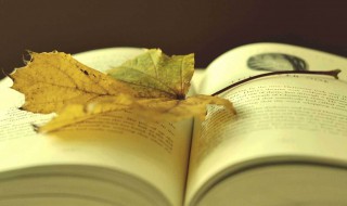 席慕容 席慕容最著名的十首诗