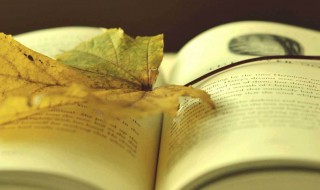 生如夏花之绚烂 生如夏花之绚烂 泰戈尔原文