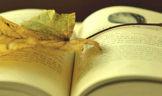 席慕容无怨的青春原文（席慕容的无怨的青春原文）