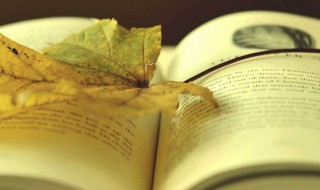 贾平凹作品（贾平凹作品可分为几类）