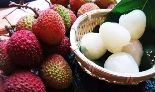 杨贵妃吃的荔枝是哪里的 杨贵妃吃的荔枝是哪里的运道哪里