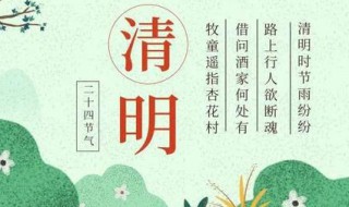 传统节日的资料（中国传统节日的资料）