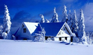 有关雪的句子 有关雪的句子简短