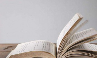 最后的晚餐赏析（最后的晚餐作品鉴赏500字）