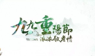 九九重阳节的诗词大全（九九重阳节的古诗大全）