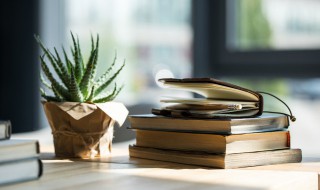 马克吐温的作品 马克吐温的作品风格