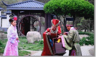 狸猫换太子的故事 宋仁宗狸猫换太子的故事