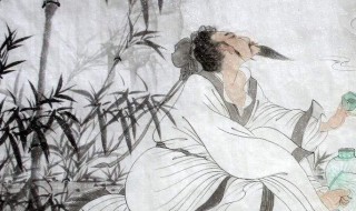 苏东坡简介(苏东坡简介:苏东坡是哪个朝代的)