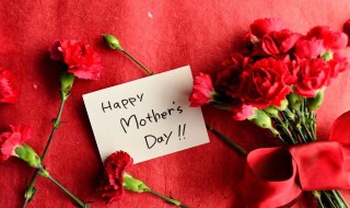母亲节是什么时候（母亲节是什么时候开始设立的）