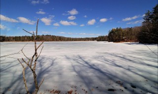 瓦尔登湖作者 瓦尔登湖作者简介