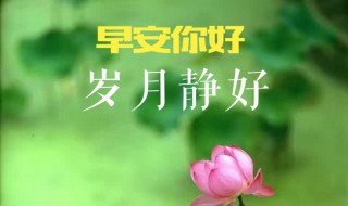 早安心话（早安心话句子）