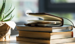 食甚是什么意思（食甚怎么读）