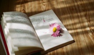 初唐四杰人名简介及代表作品（初唐四杰人名简介及代表作品有哪些）