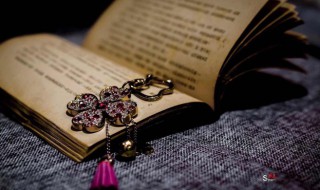 陆游简介及作品（陆游简介资料大全）