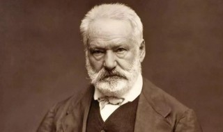 雨果作品及简介 雨果作品及简介50字