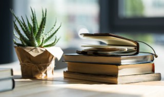 莫泊桑简介及代表作品 莫泊桑简介及代表作品介绍