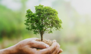 保护环境简单手抄报内容大全