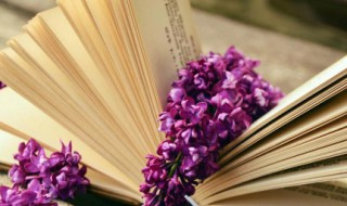 夏的古诗(夏的古诗10首简单)