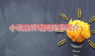 小说宫怀缱绻故事简介 宫怀缱绻全文阅读