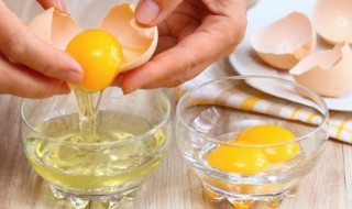 鸡蛋液可以浇花吗 鸡蛋液可以浇花吗要多久