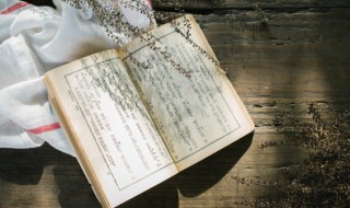 关于传统节日的诗句 描写节日的诗词