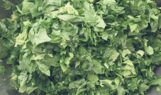 芹菜麦饭的家常做法（芹菜麦饭的做法大全）