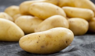 醋溜土豆条家常做法 醋溜土豆条家常做法视频