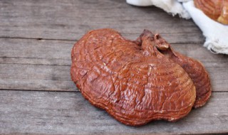 灵芝放久了还能吃吗（灵芝放久了还能吃吗为什么）