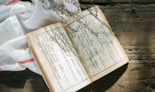 懿的拼音 懿的拼音怎么写