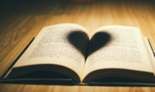 神态描写的句子摘抄（神态描写的句子摘抄10字）