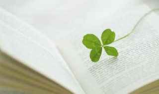 描写风的句子短句（描写风的句子短句伤感）