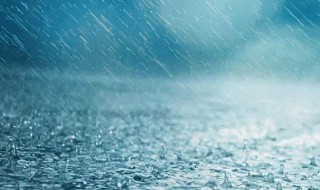 描写大雨的句子 六年级上册第13课桥描写大雨的句子