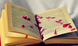 描写环境的优美句子（描写环境的优美句子150字）