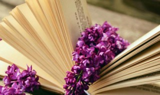 激情澎湃是什么意思 激情澎湃是什么意思呢?