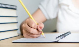 描写山茶花的优美句子 描写山茶花的优美句子摘抄