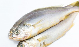 卤鱼头的做法和配方（卤鱼头的做法和配方窍门）