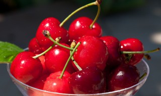 樱桃煮水加冰糖有什么作用 樱桃煮水加冰糖能放多久