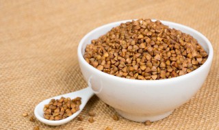 大麦茶的功效作用 大麦茶的功效作用和禁忌