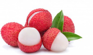 荔枝酒怎么泡(荔枝酒怎么泡制)