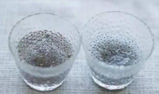奇亚籽冷水泡多久 奇亚籽冷水泡还是热水泡