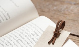 机灵的近义词 机会的近义词