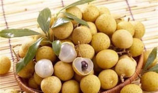 龙眼酒怎么泡（龙眼酒怎么泡好喝）