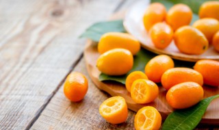 冰糖金桔水怎么做好吃（冰糖金桔水的功效与作用及食用方法）