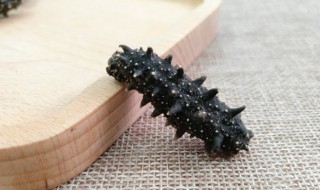 海参可以炖什么（海参可以炖什么汤好）