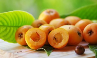 大人一天能吃几个枇杷(一天最多吃几个枇杷成人)