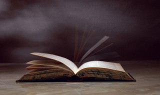 惬意怎么读音 惬意怎么读什么意思